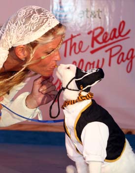 Pet Masquerade and Parade 2007 photo - Duval Street, Key West
